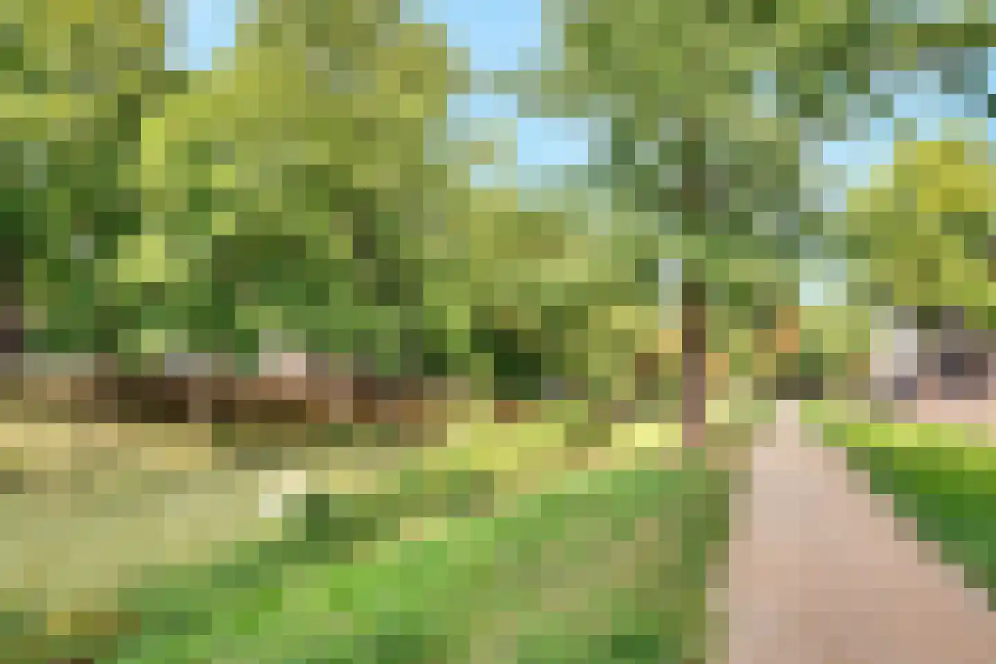 Maliesingel 46 BS Utrecht thumbnail 67