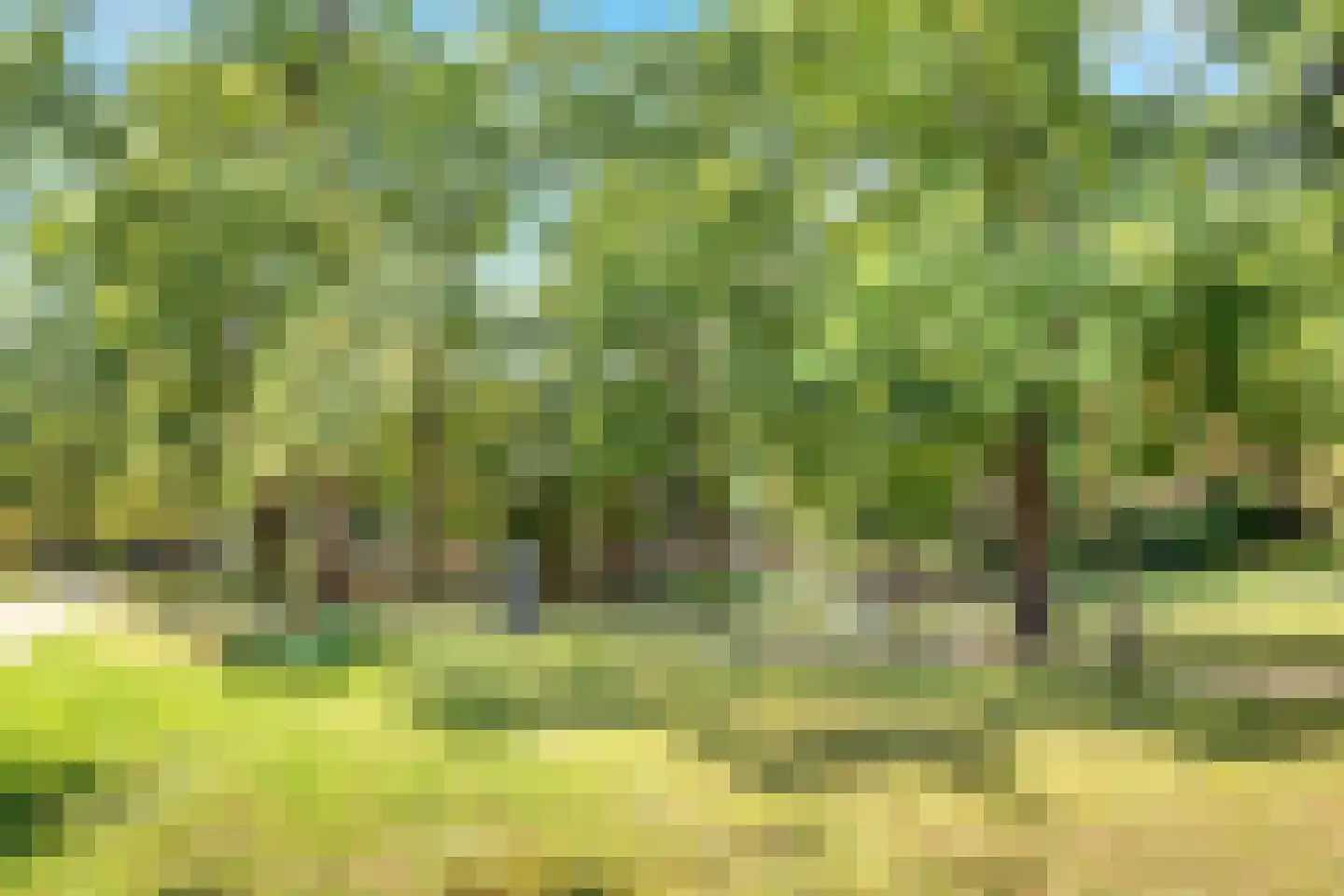 Maliesingel 46 BS Utrecht thumbnail 68