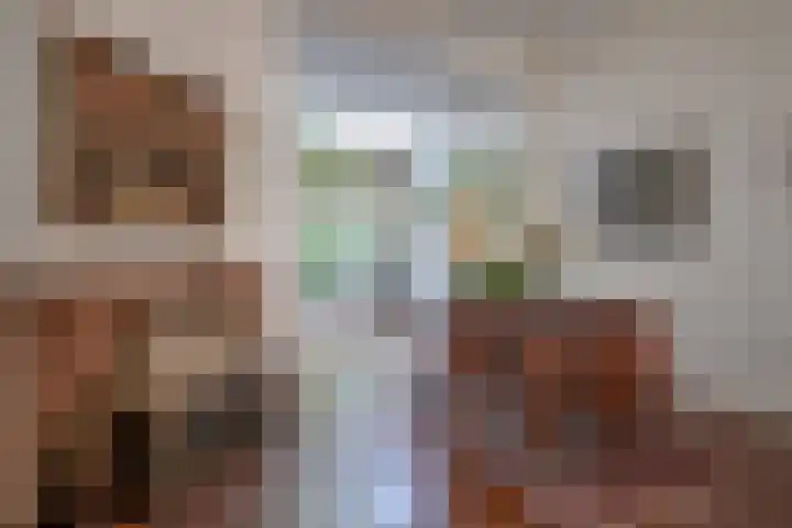 Maliesingel 47 Utrecht thumbnail 12