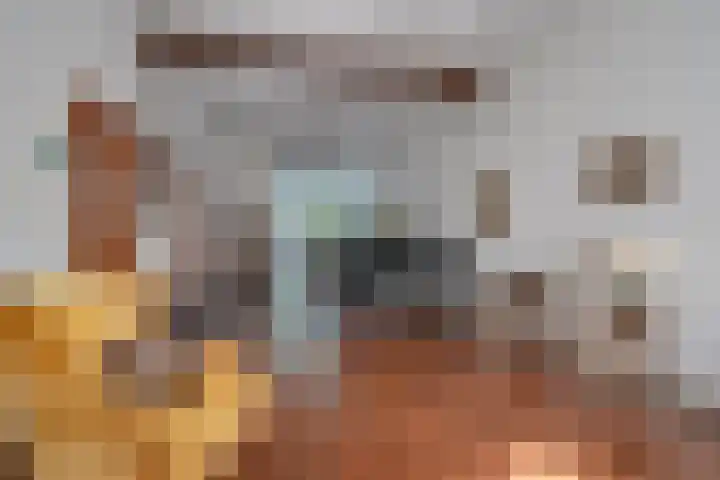 Maliesingel 47 Utrecht thumbnail 16