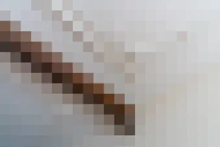 Maliesingel 47 Utrecht thumbnail 17