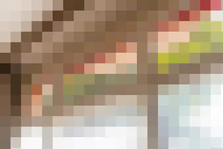 Maliesingel 47 Utrecht thumbnail 18