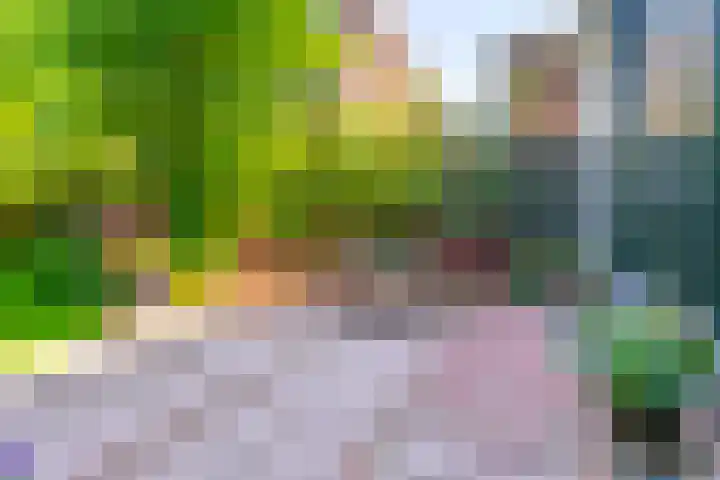 Maliesingel 47 Utrecht thumbnail 22