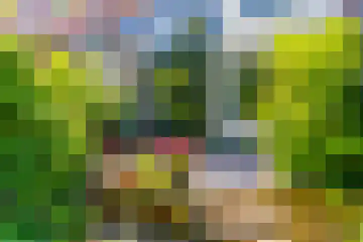 Maliesingel 47 Utrecht thumbnail 23