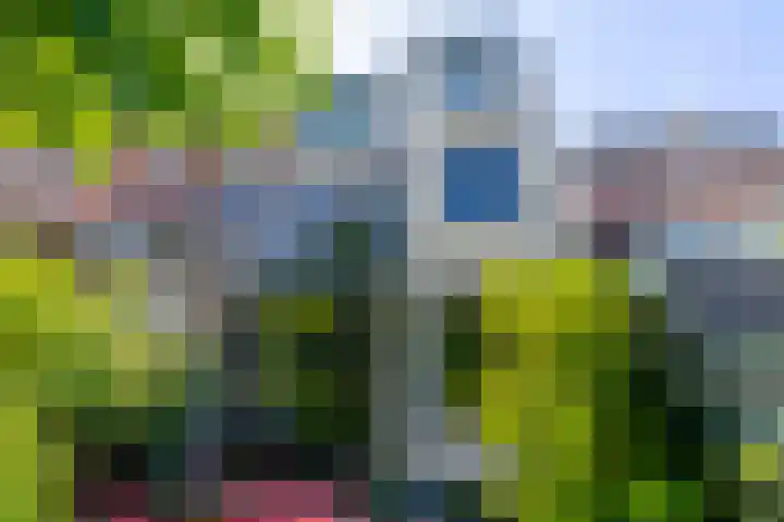 Maliesingel 47 Utrecht thumbnail 24