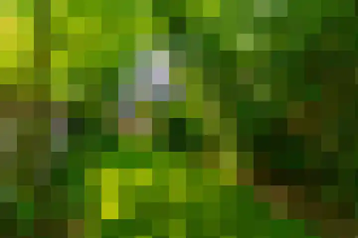 Maliesingel 47 Utrecht thumbnail 25