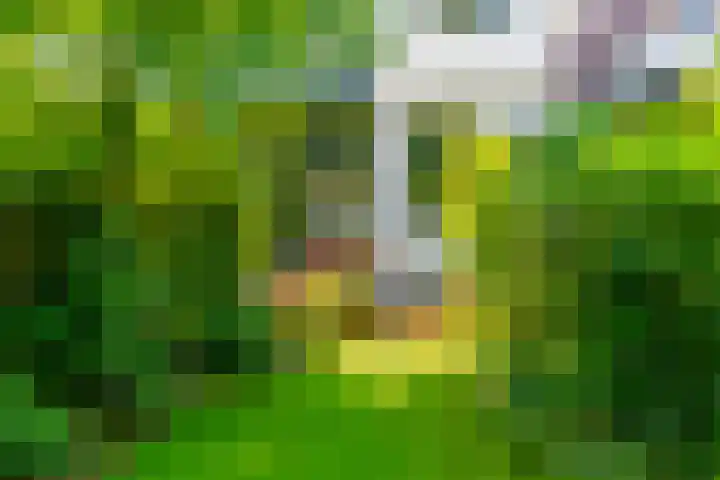 Maliesingel 47 Utrecht thumbnail 26