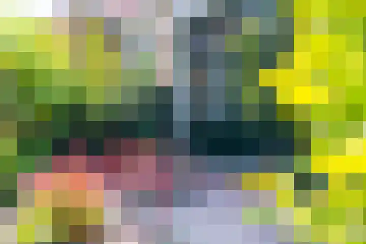 Maliesingel 47 Utrecht thumbnail 27