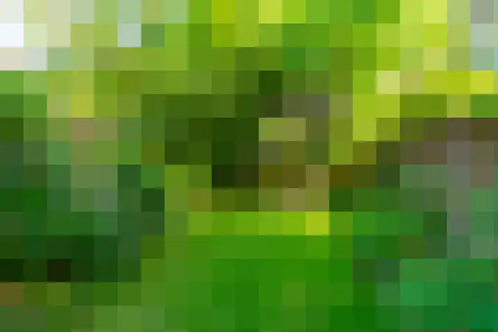 Maliesingel 47 Utrecht thumbnail 28