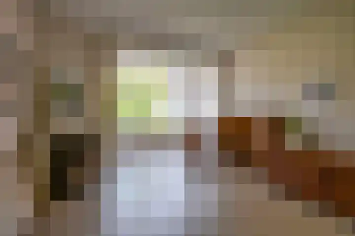 Maliesingel 47 Utrecht thumbnail 34
