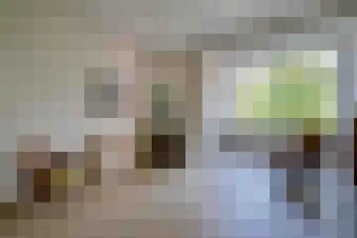 Maliesingel 47 Utrecht thumbnail 35