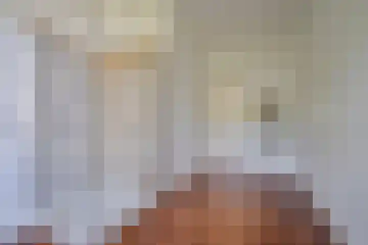 Maliesingel 47 Utrecht thumbnail 38