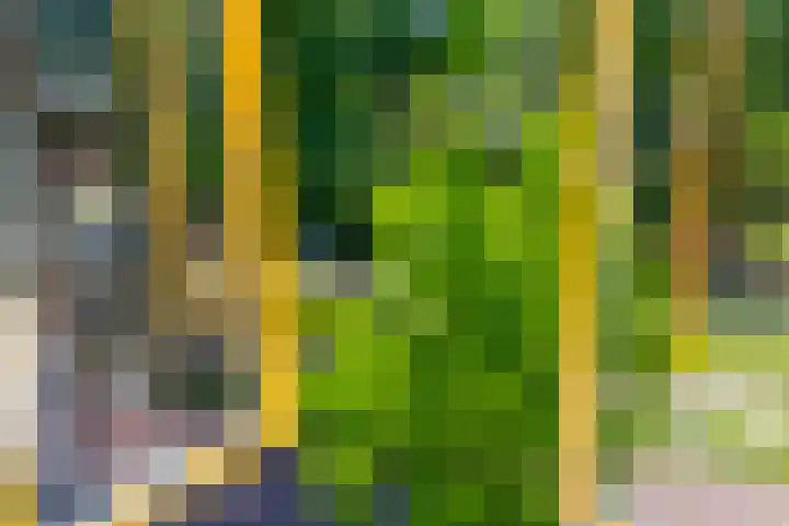 Maliesingel 47 Utrecht thumbnail 45