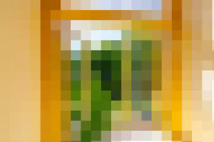 Maliesingel 47 Utrecht thumbnail 46