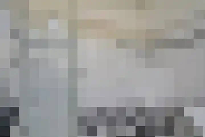 Maliesingel 47 Utrecht thumbnail 51