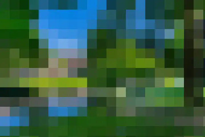 Maliesingel 47 Utrecht thumbnail 55