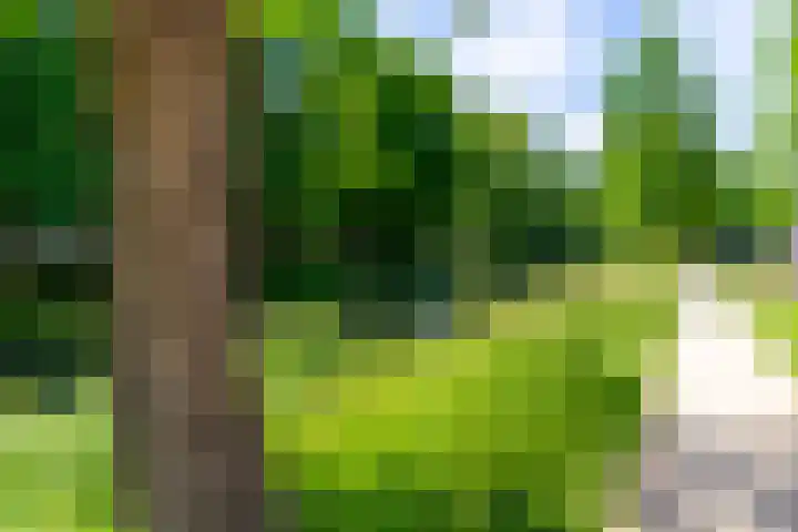 Maliesingel 47 Utrecht thumbnail 56