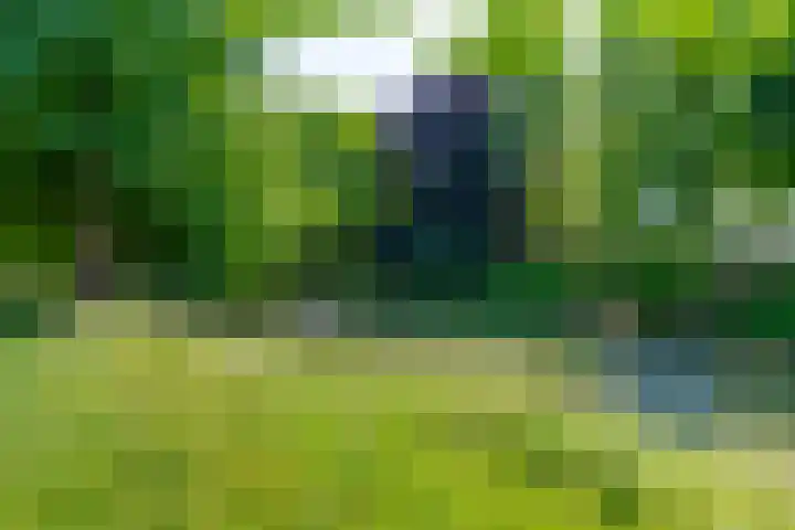 Maliesingel 47 Utrecht thumbnail 57