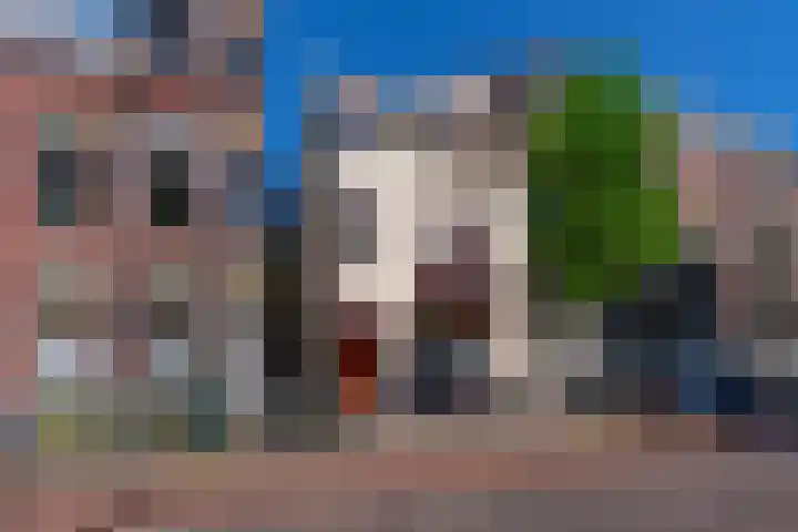 Maliesingel 47 Utrecht thumbnail 58