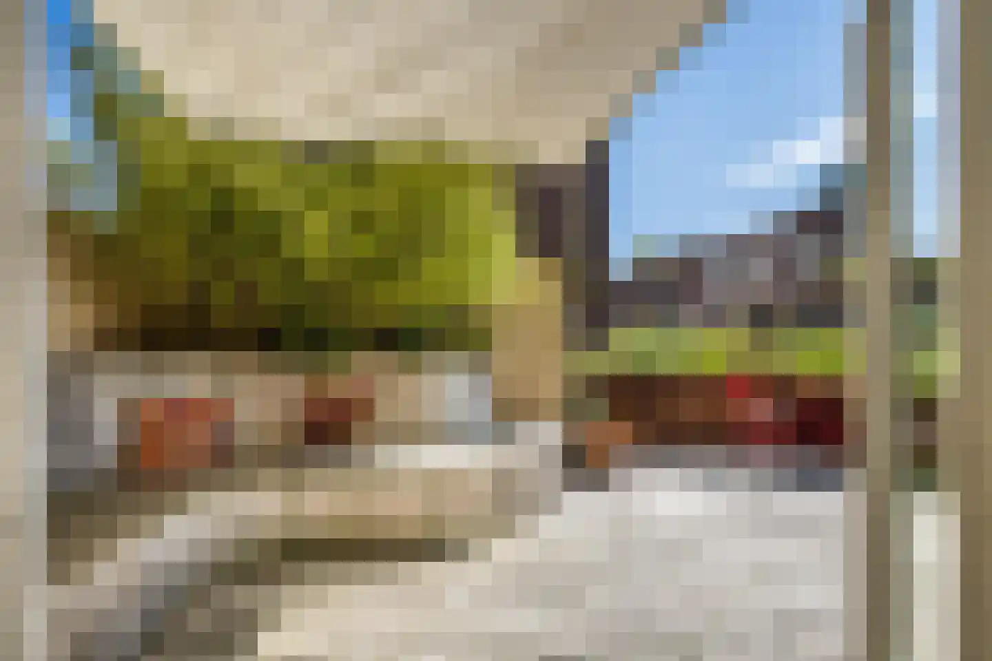 Maliesingel 50 BS Utrecht thumbnail 29
