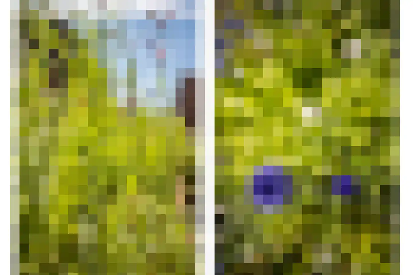 Maliesingel 50 BS Utrecht thumbnail 30