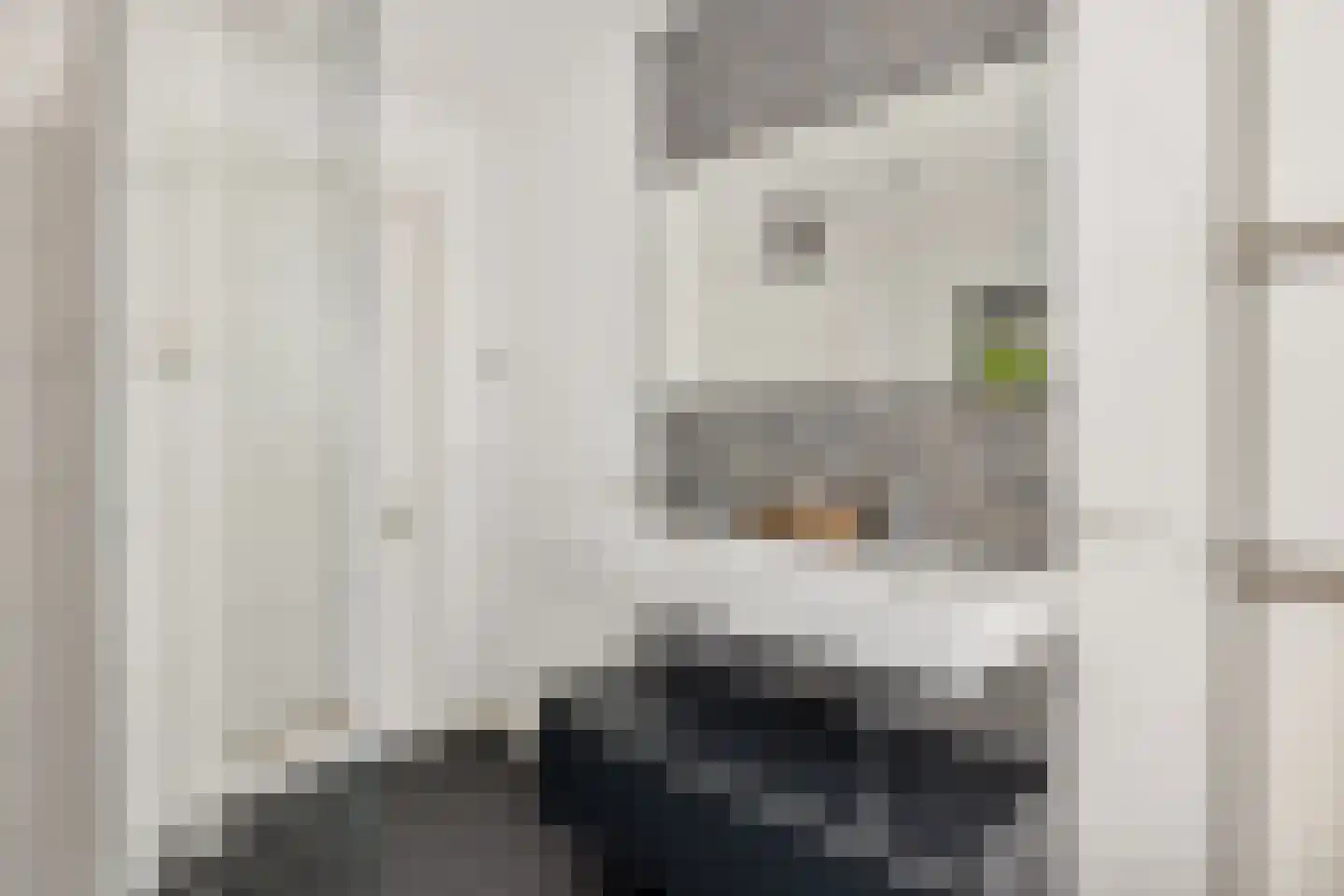 Maliesingel 50 BS Utrecht thumbnail 52