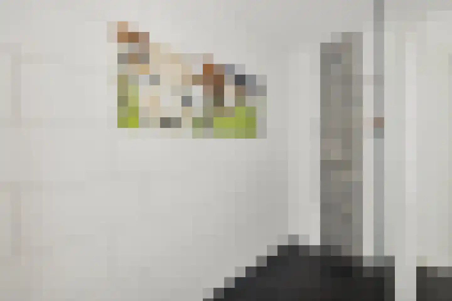 Maliesingel 50 BS Utrecht thumbnail 53