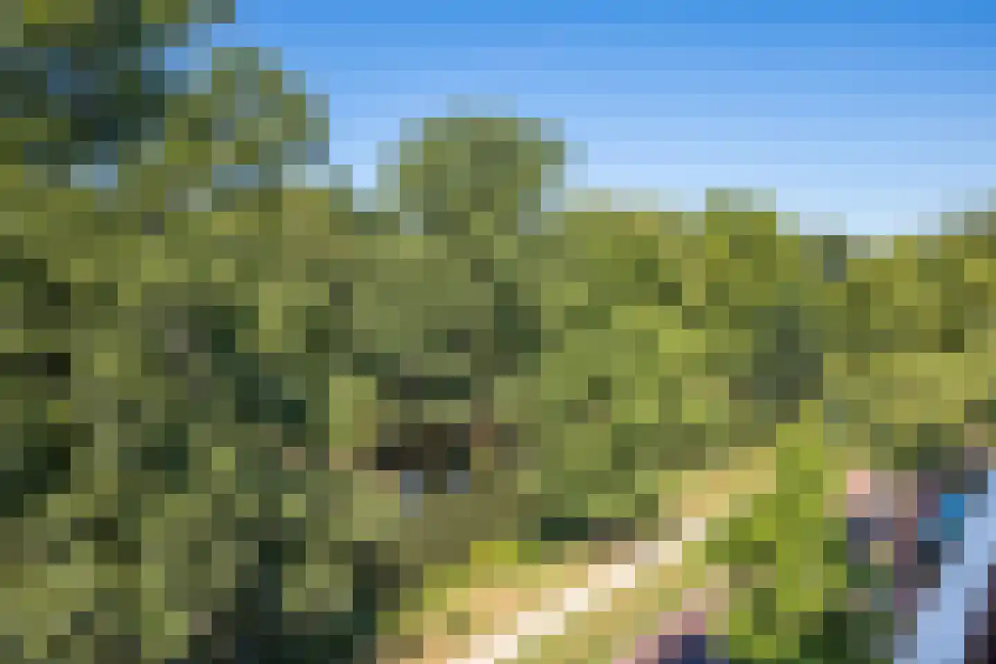 Maliesingel 50 BS Utrecht thumbnail 66