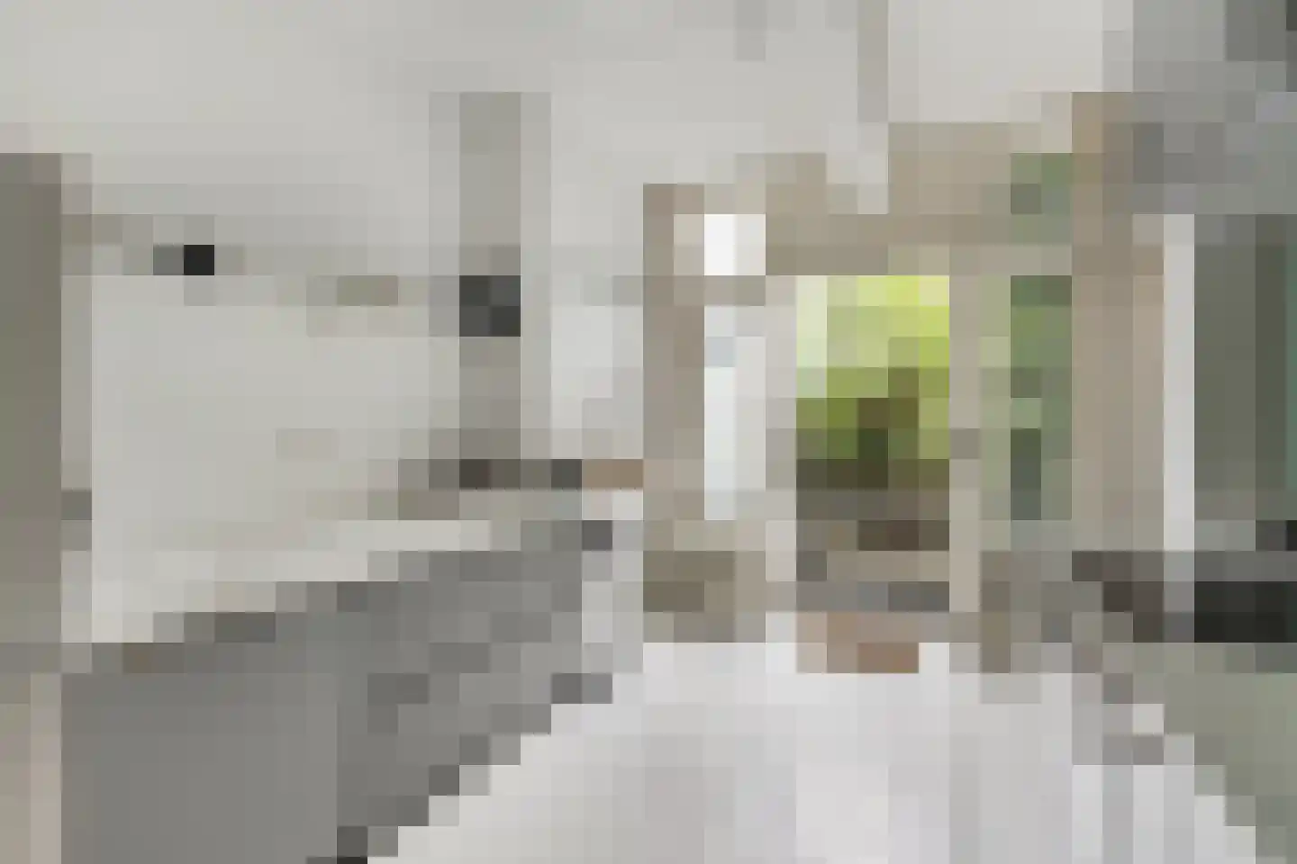 Maliesingel 69 Utrecht thumbnail 11