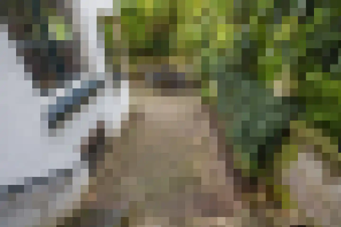 Maliesingel 69 Utrecht thumbnail 12