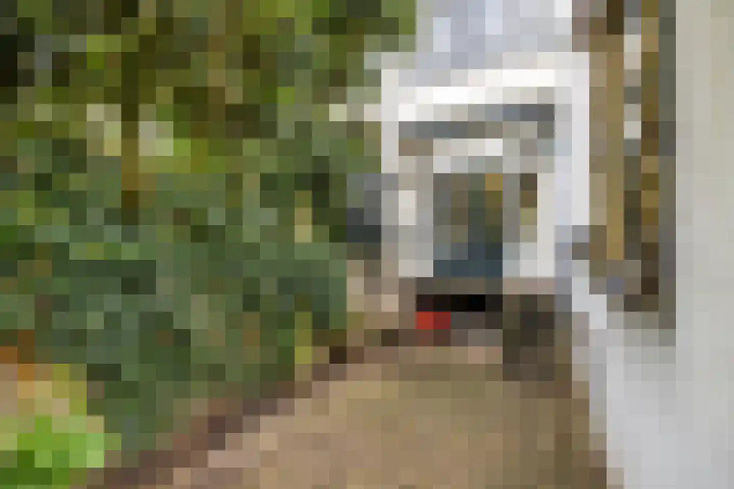 Maliesingel 69 Utrecht thumbnail 14