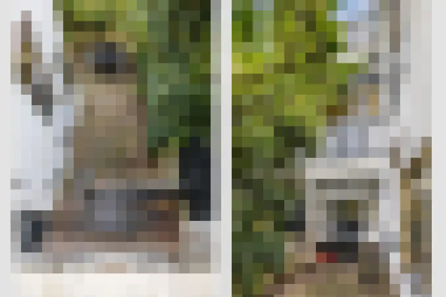 Maliesingel 69 Utrecht thumbnail 15
