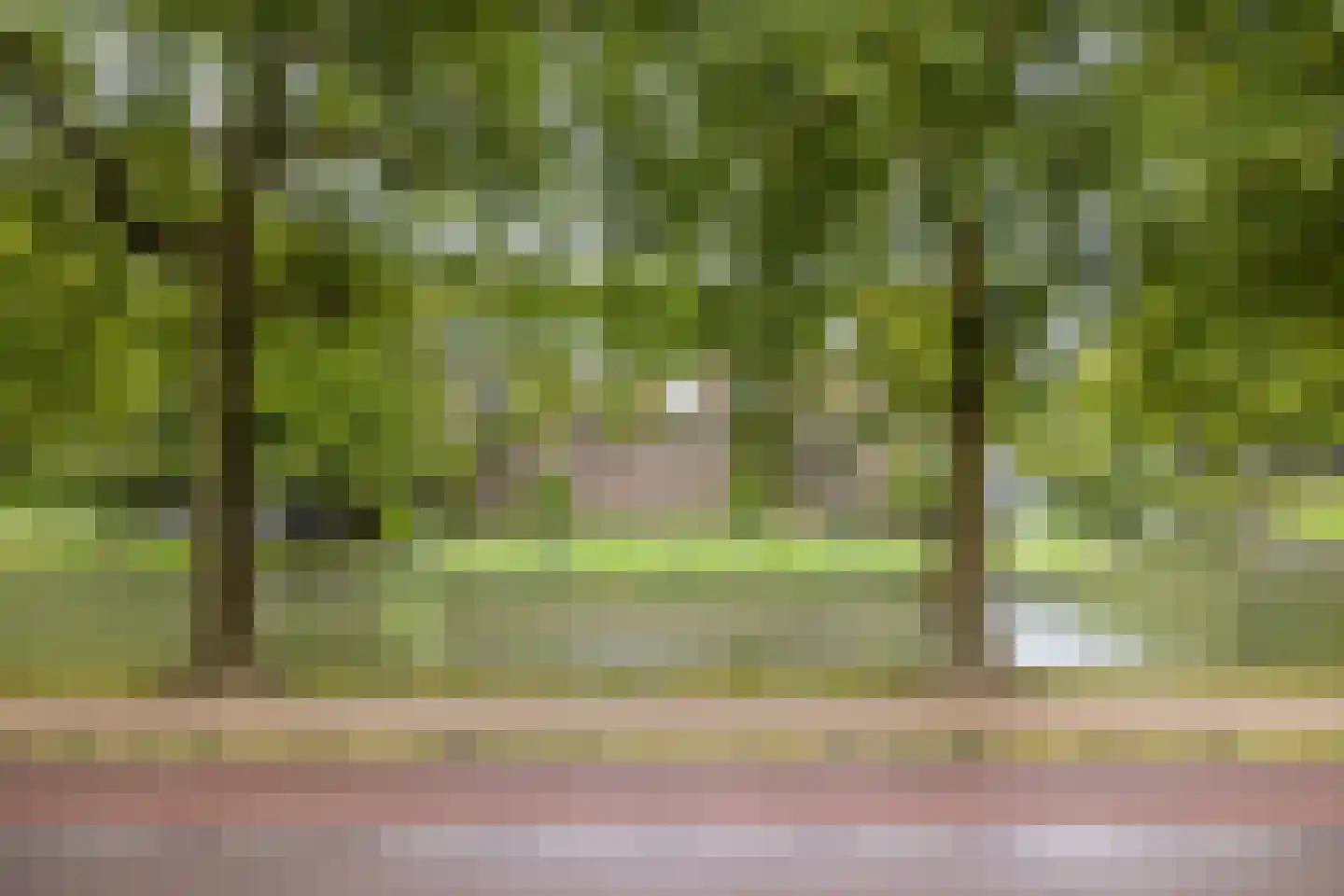 Maliesingel 69 Utrecht thumbnail 20