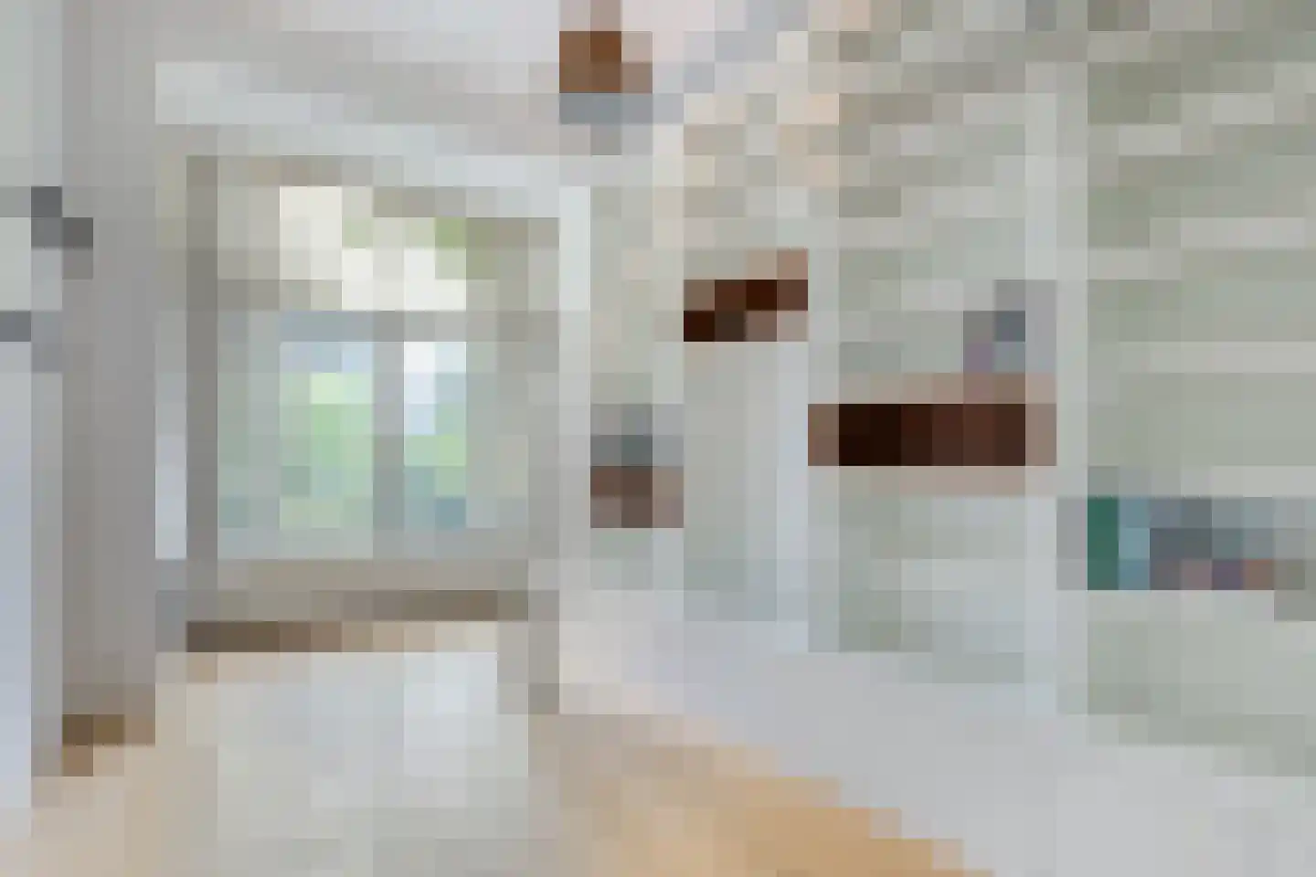 Maliesingel 69 Utrecht thumbnail 23