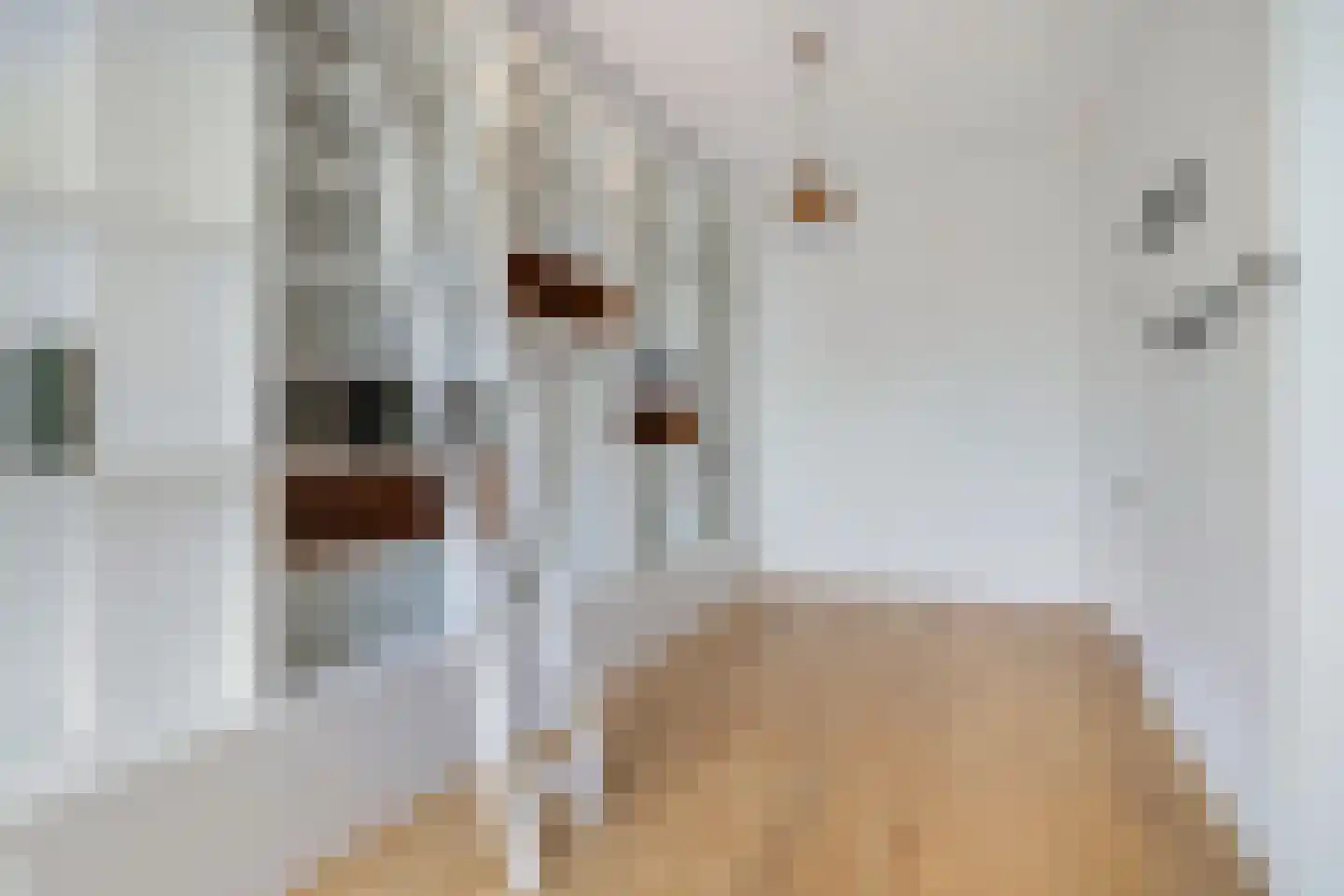 Maliesingel 69 Utrecht thumbnail 25