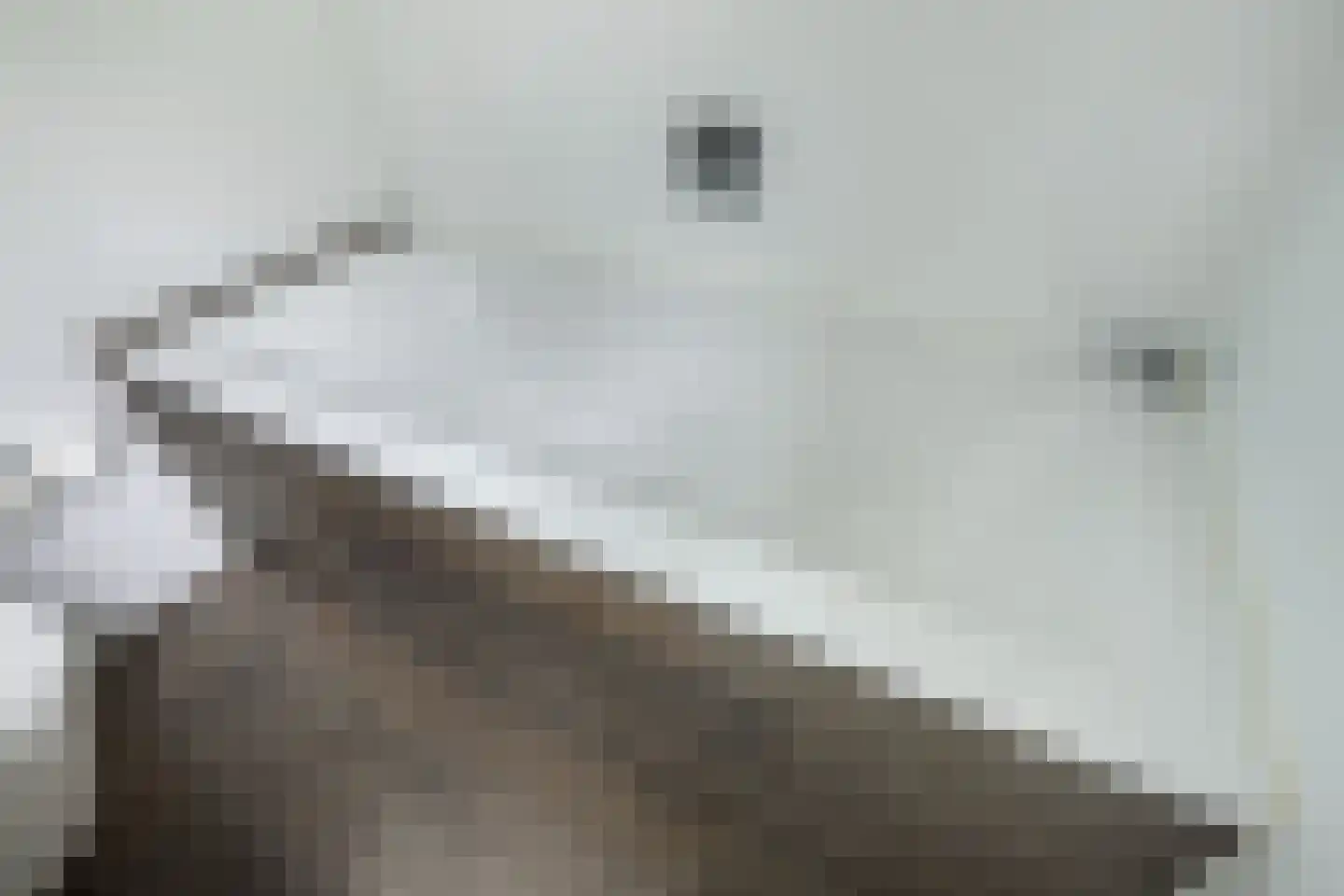 Maliesingel 69 Utrecht thumbnail 38