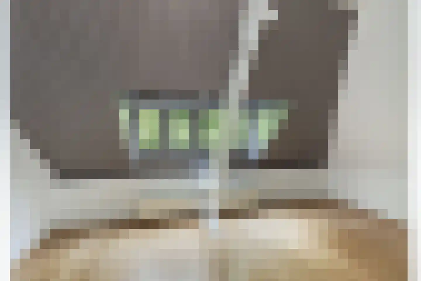 Maliesingel 69 Utrecht thumbnail 40
