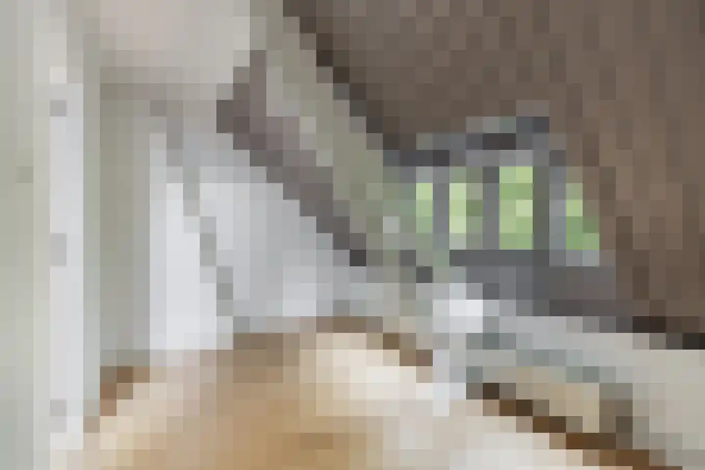 Maliesingel 69 Utrecht thumbnail 41