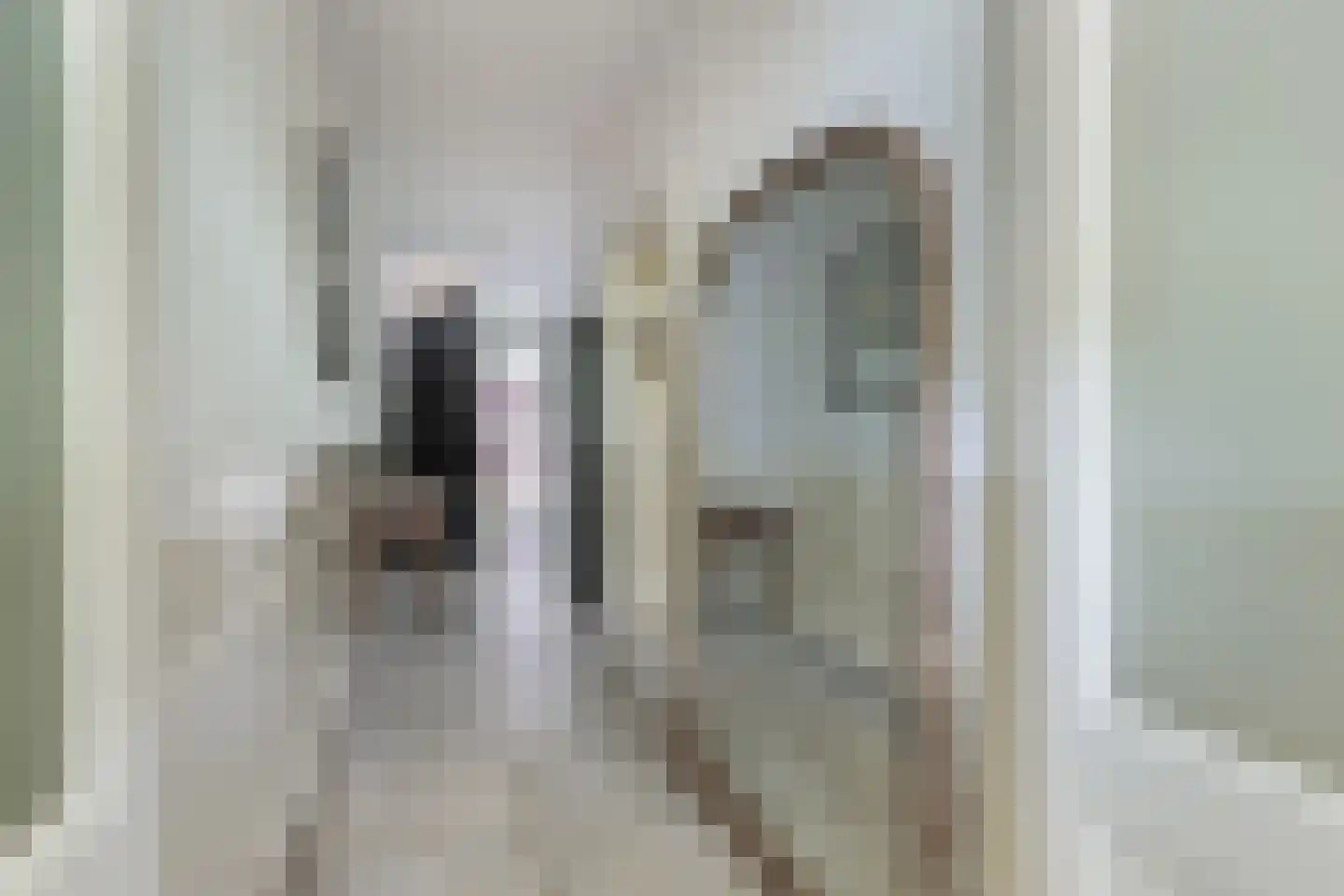 Maliesingel 69 Utrecht thumbnail 5