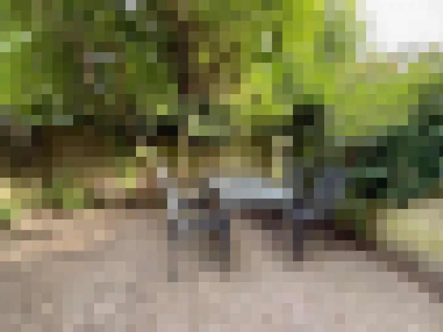 Maliesingel 69 Utrecht thumbnail 50