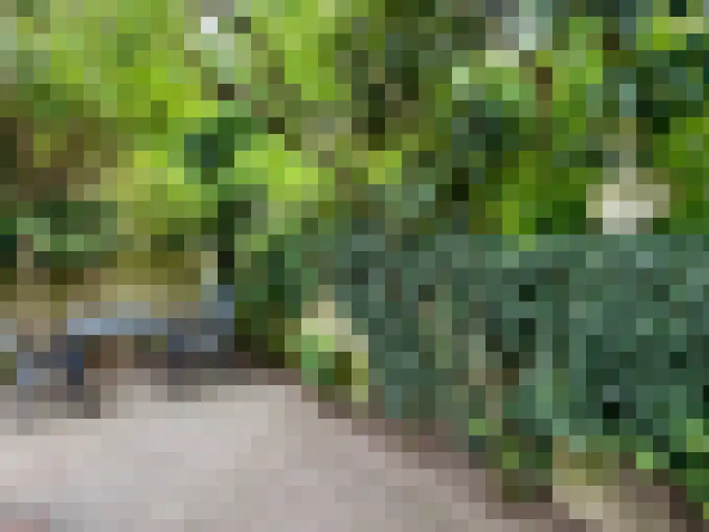 Maliesingel 69 Utrecht thumbnail 52