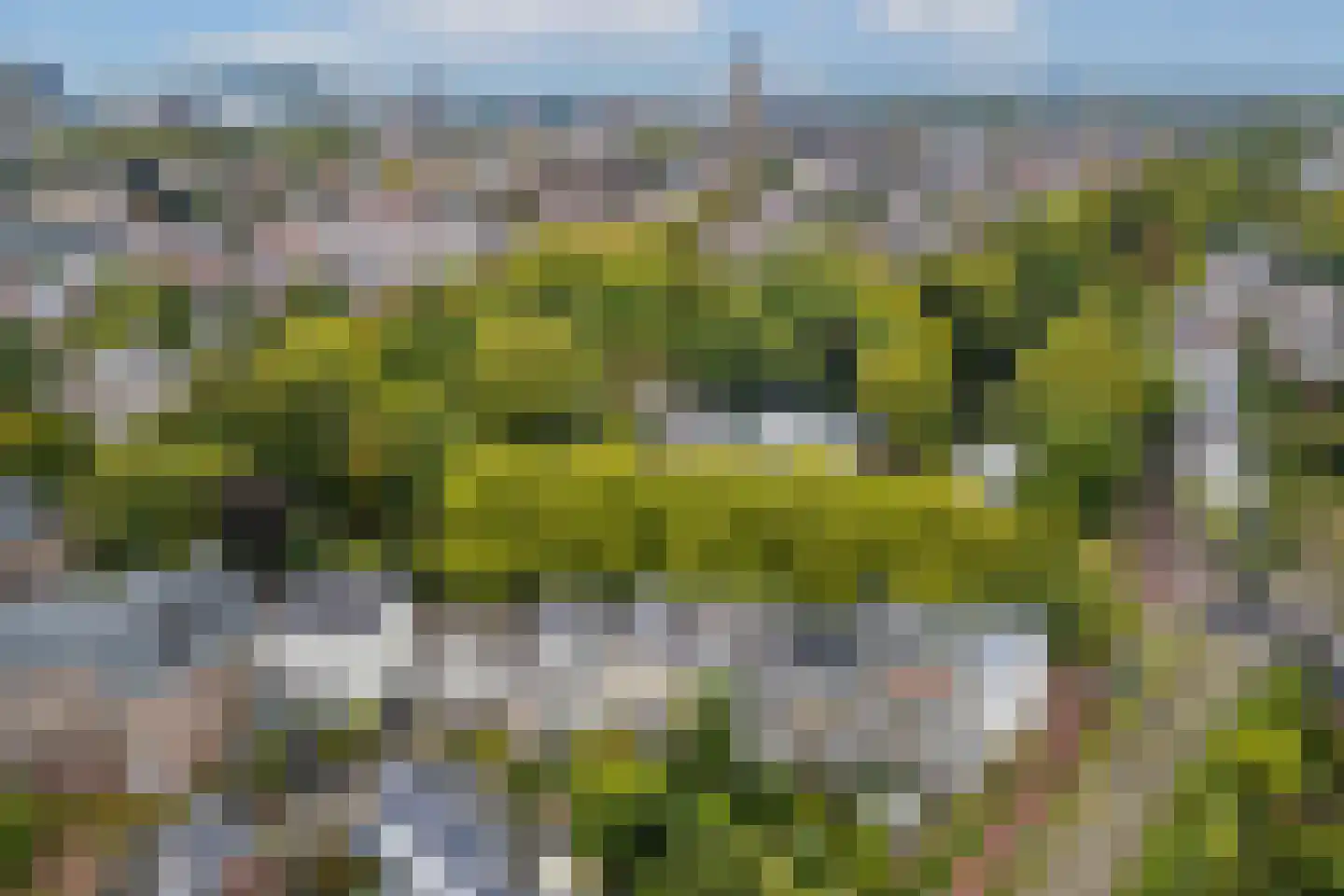 Maliesingel 69 Utrecht thumbnail 54