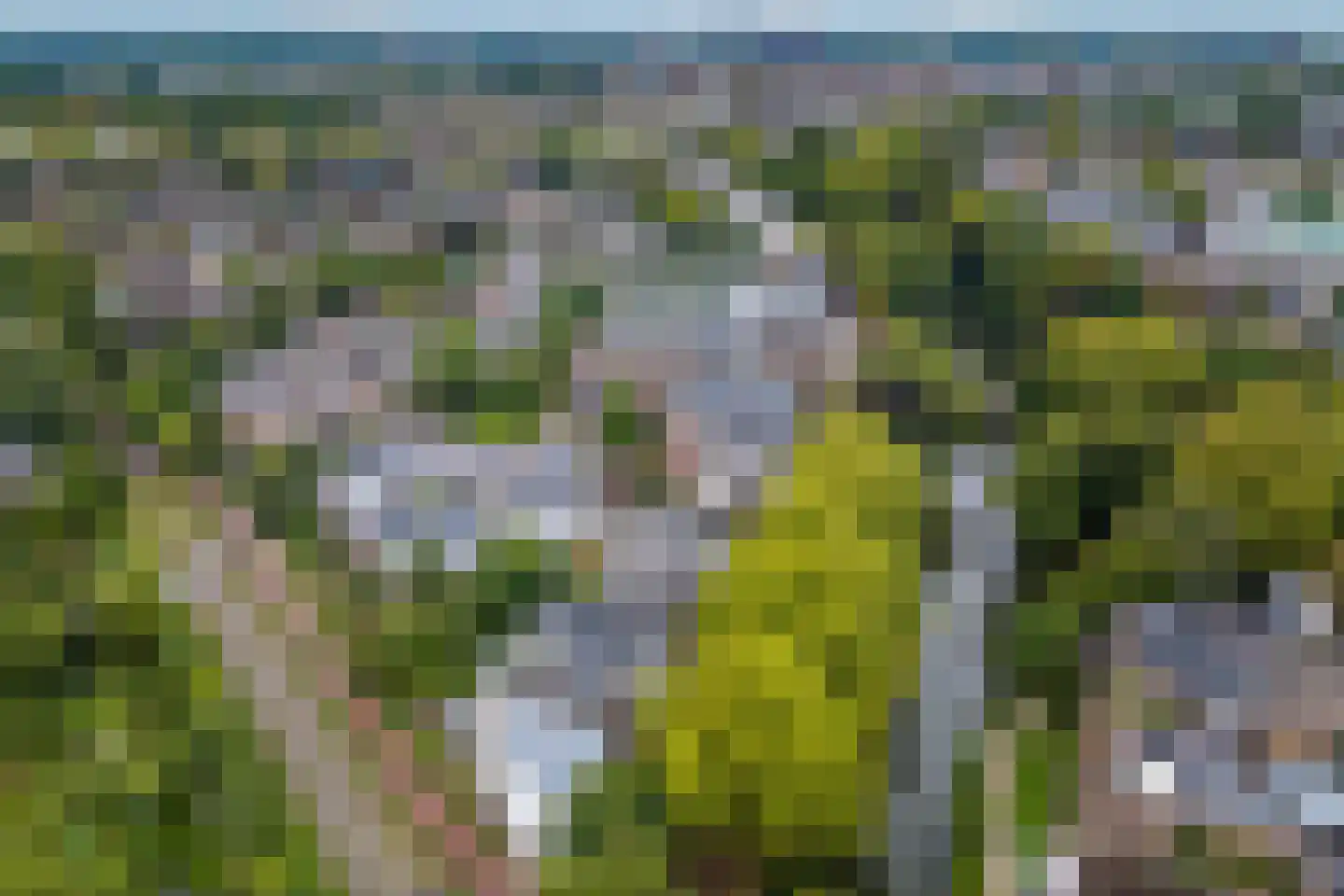 Maliesingel 69 Utrecht thumbnail 58