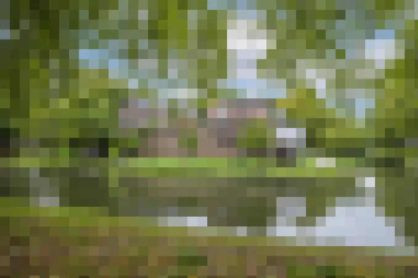 Maliesingel 69 Utrecht thumbnail 59