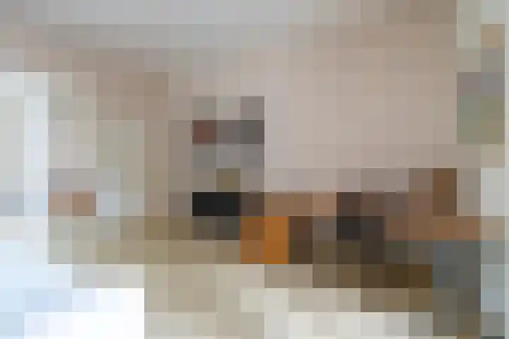 Maliesingel 79 Utrecht thumbnail 19