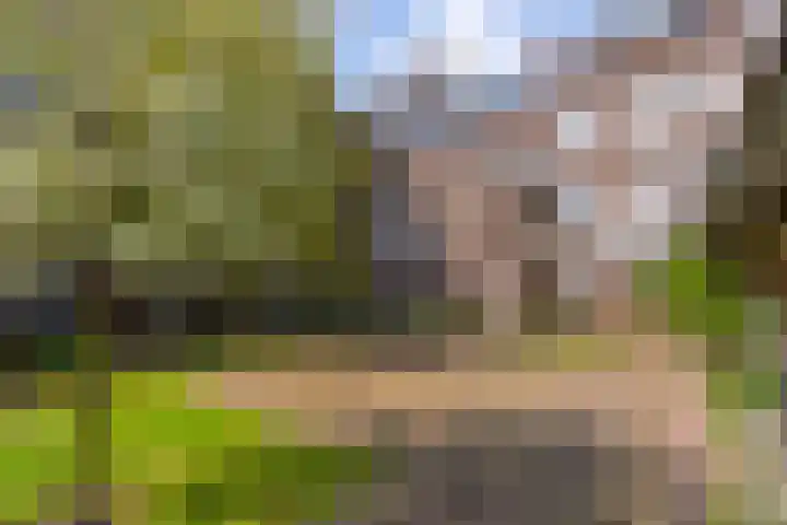 Maliesingel 79 Utrecht thumbnail 31