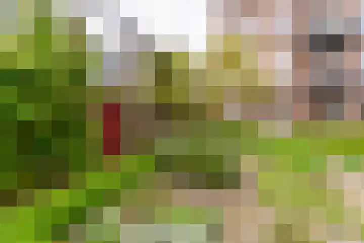 Maliesingel 79 Utrecht thumbnail 33