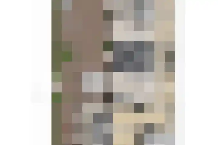 Maliesingel 79 Utrecht thumbnail 41