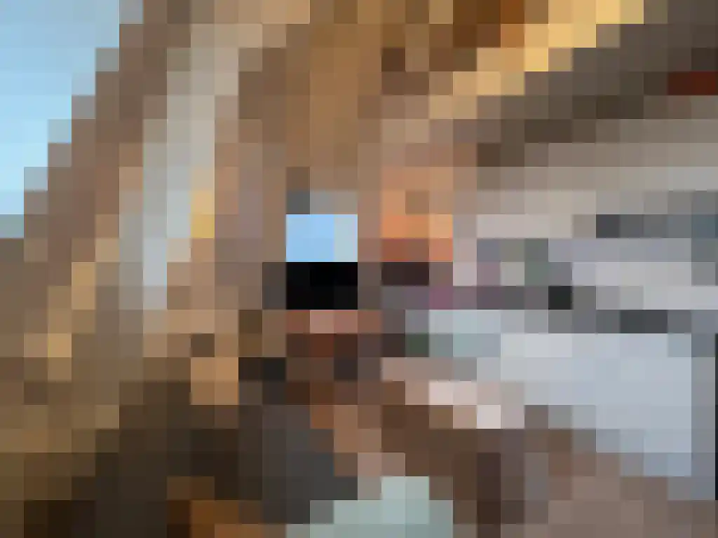Maliestraat 1 L Utrecht thumbnail 4