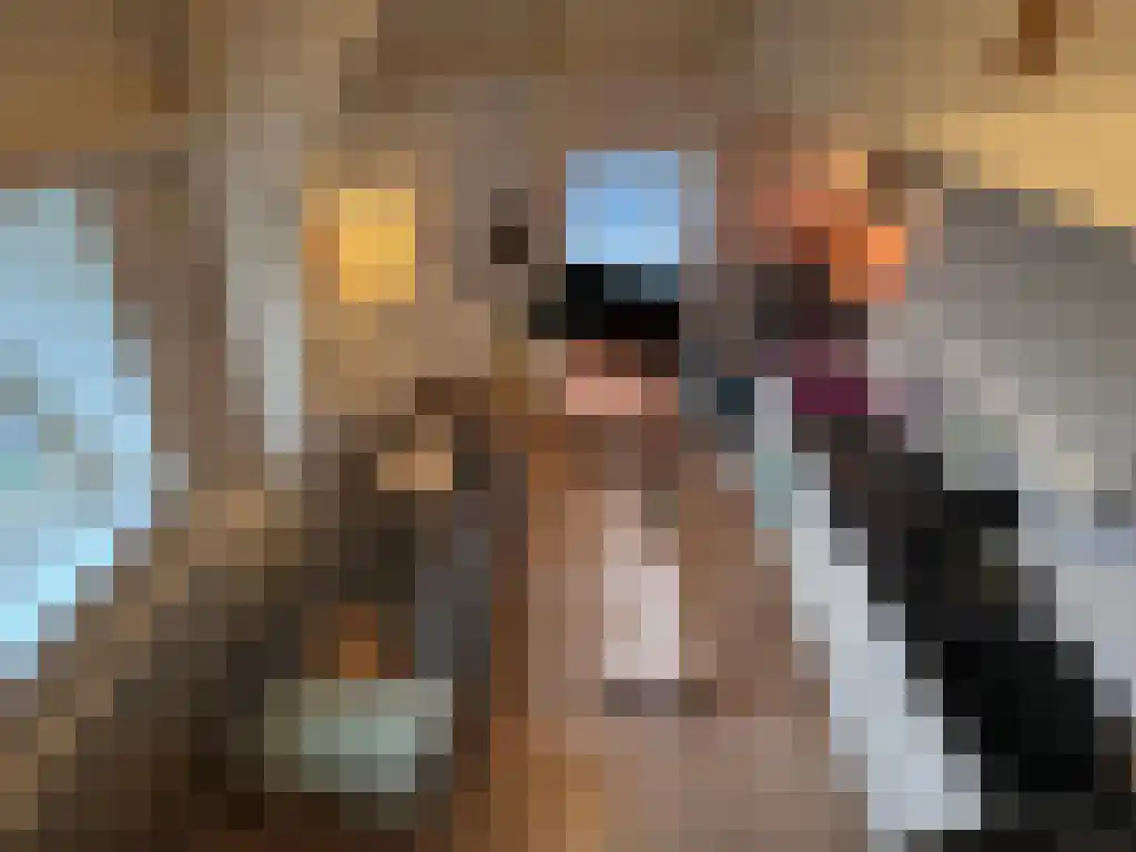Maliestraat 1 L Utrecht thumbnail 5